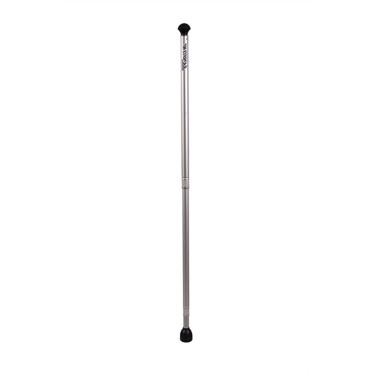 Raw Telescoping Skate Pole - Hamboards